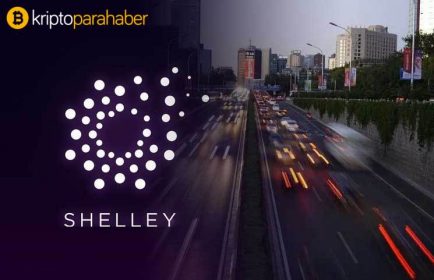 Uzman görüşü: Bu altcoin testnet beklentisiyle pump görebilir!